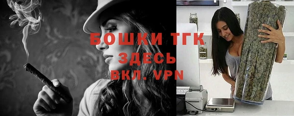 ГАЛЛЮЦИНОГЕННЫЕ ГРИБЫ Алзамай