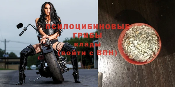 ГАЛЛЮЦИНОГЕННЫЕ ГРИБЫ Алзамай