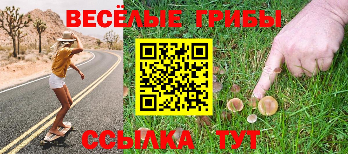 Галлюциногенные грибы Magic Shrooms  Вход с VPN  Кириши 